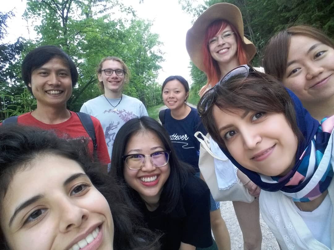 Lab outdoors on an outing